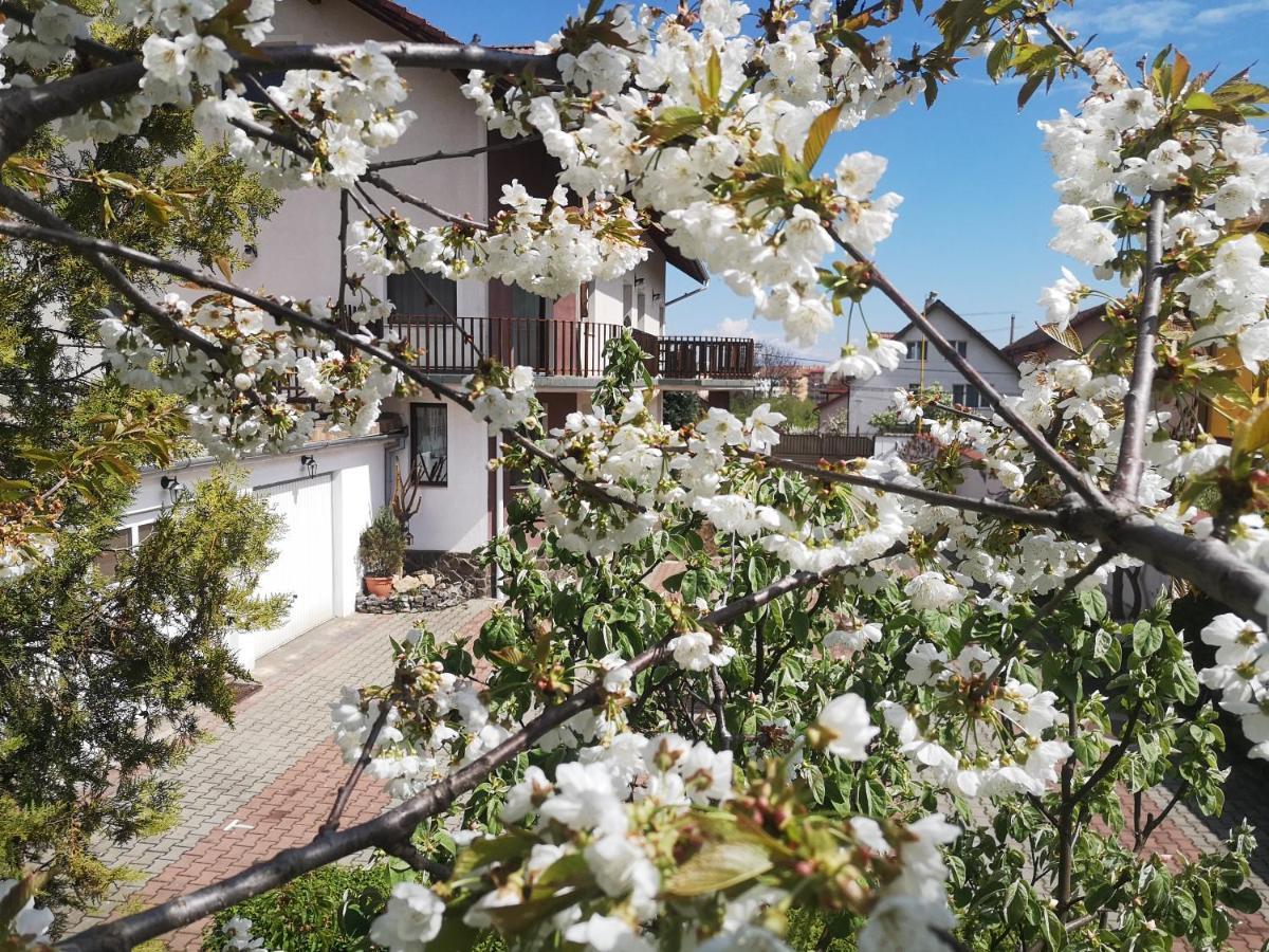 Отель Casa Din Noua Брашов Экстерьер фото